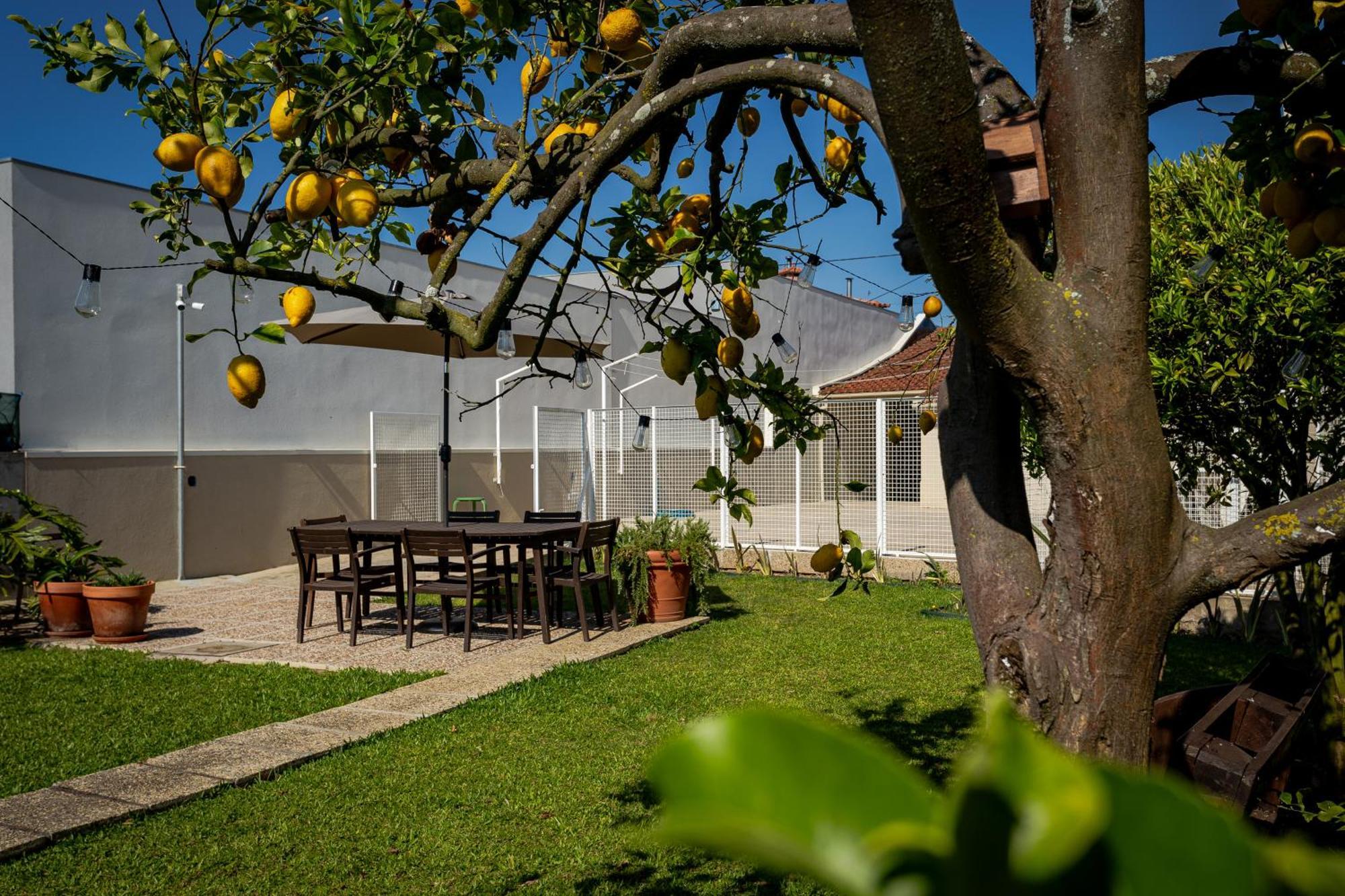 708 Mugnano House Aveleda Villa Vila do Conde Buitenkant foto